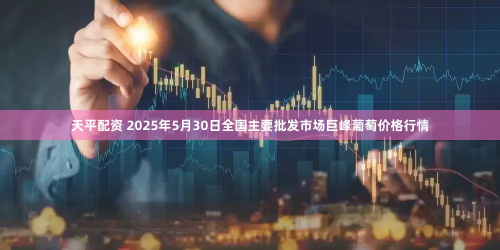 天平配资 2025年5月30日全国主要批发市场巨峰葡萄价格行情