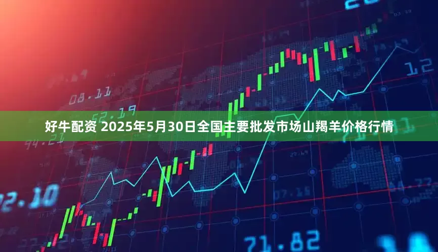 好牛配资 2025年5月30日全国主要批发市场山羯羊价格行情