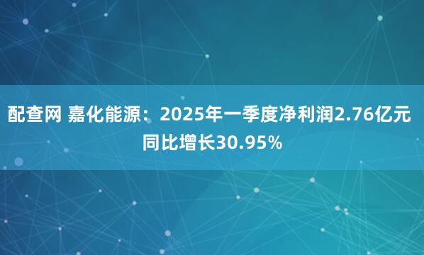 配查网 嘉化能源：2025年一季度净利润2.76亿元 同比增长30.95%